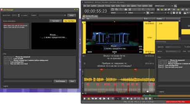 Portuguese subtitling formats